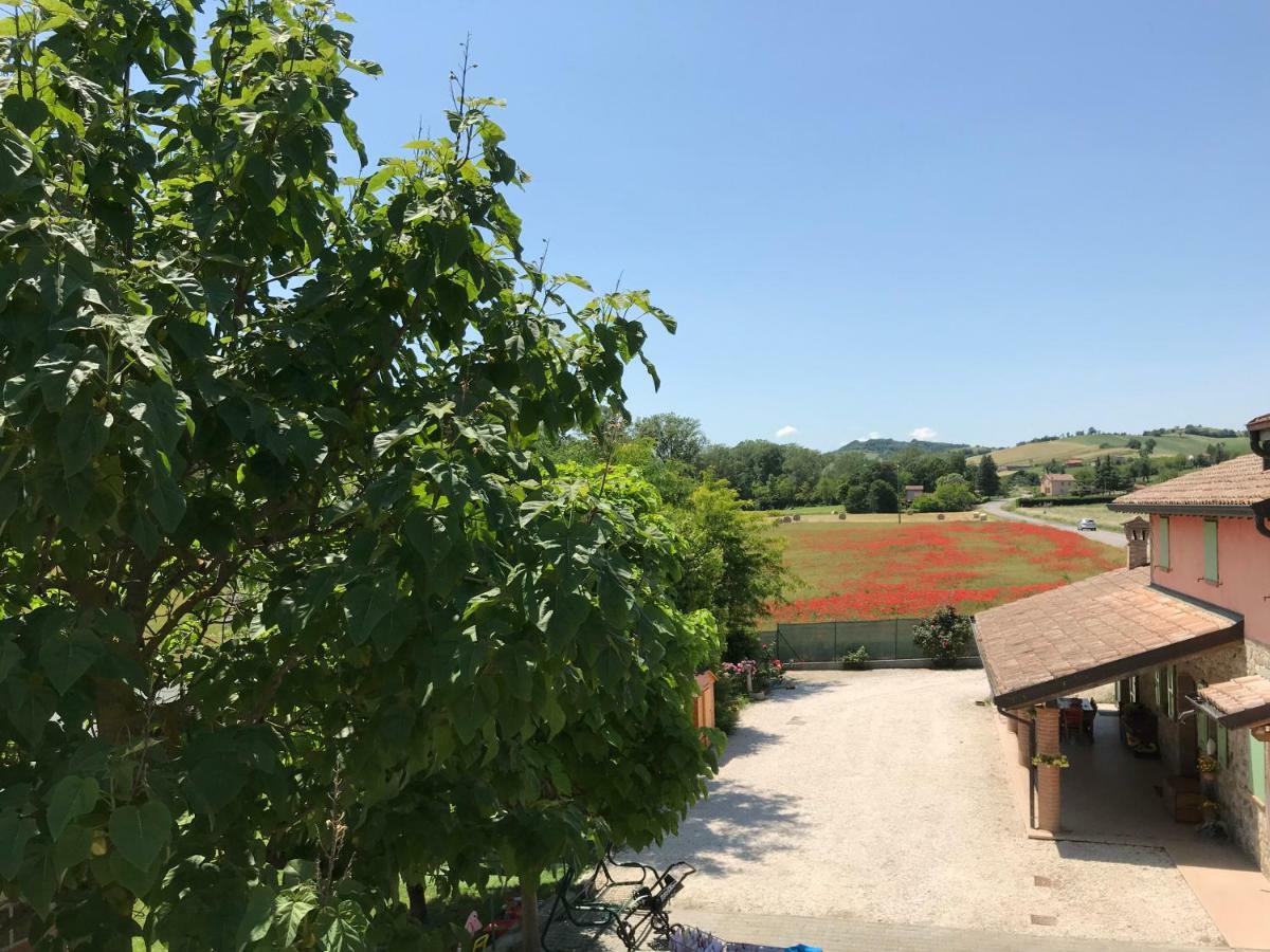 Tra I Campi Di Papaveri Bed & Breakfast Medesano Dış mekan fotoğraf