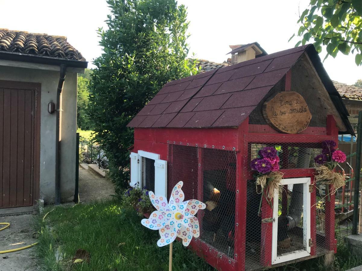 Tra I Campi Di Papaveri Bed & Breakfast Medesano Dış mekan fotoğraf